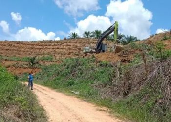 WALHI Kecam Aksi PT Merbau Gusur Paksa Lahan Pertanian Warga di Mowila