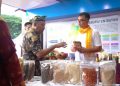 Pemda di Sultra Diminta Lindungi Aset Daerah: KI Jadi Kunci Masa Depan