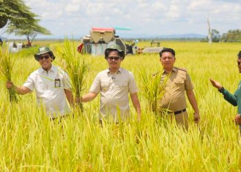 Kolaka Timur, Barometer Baru Kedaulatan Pangan Nasional