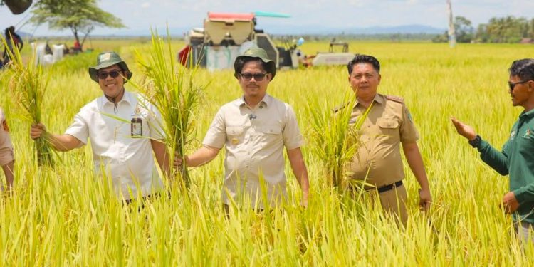 Kolaka Timur, Barometer Baru Kedaulatan Pangan Nasional
