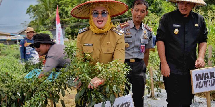 Inovasi Pengembangan Lahan Urban di Kendari Layak Jadi Inspirasi