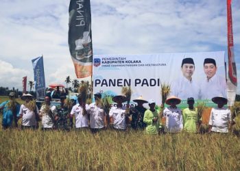 Perkuat Ketahanan Pangan, Ribuan Petani di Kolaka akan Difasilitasi Asuransi