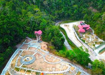 Melihat dari Dekat Eksotisme Flora Ultrabasa di Kebun Raya Kendari