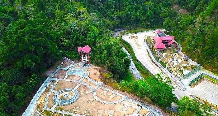 Melihat dari Dekat Eksotisme Flora Ultrabasa di Kebun Raya Kendari