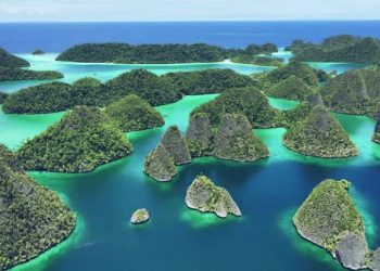 Greenpeace Ungkap 16 IUP Nikel di Raja Ampat, 12 Berada di Kawasan Geopark Global UNESCO