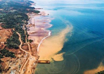 Gawat! Ekowisata Labengki Tercemar Limbah Tambang Nikel, Biota Laut Terancam Punah