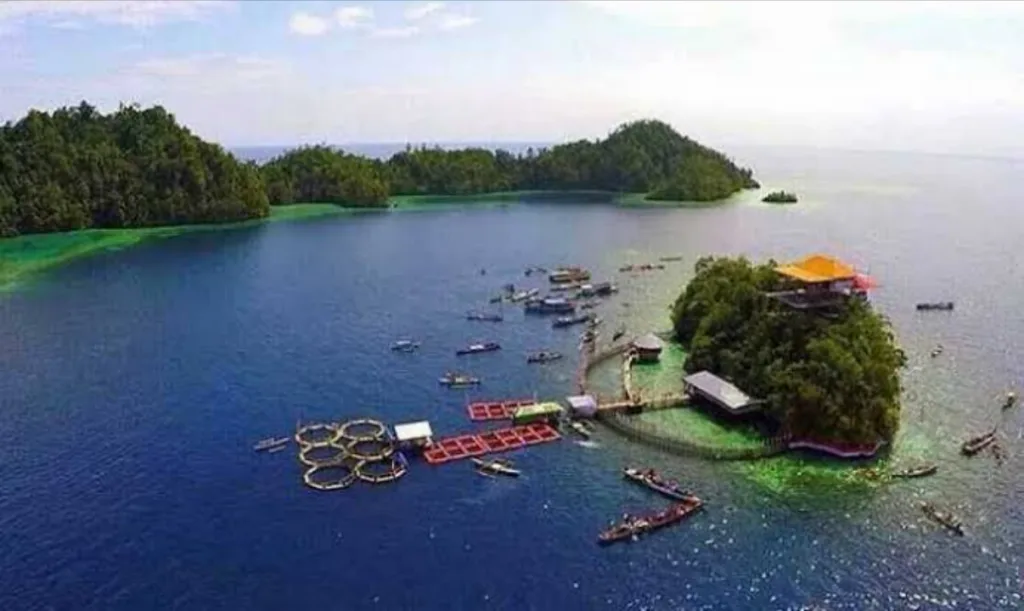 Kolaka Utara Siap Genjot PAD Lewat Tambang dan Wisata - MediaSultra.com