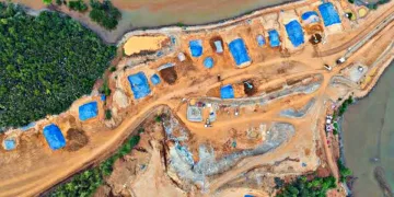 Gawat! 1.000 Hektare Hutan Mangrove di Konawe Utara Rusak Parah
