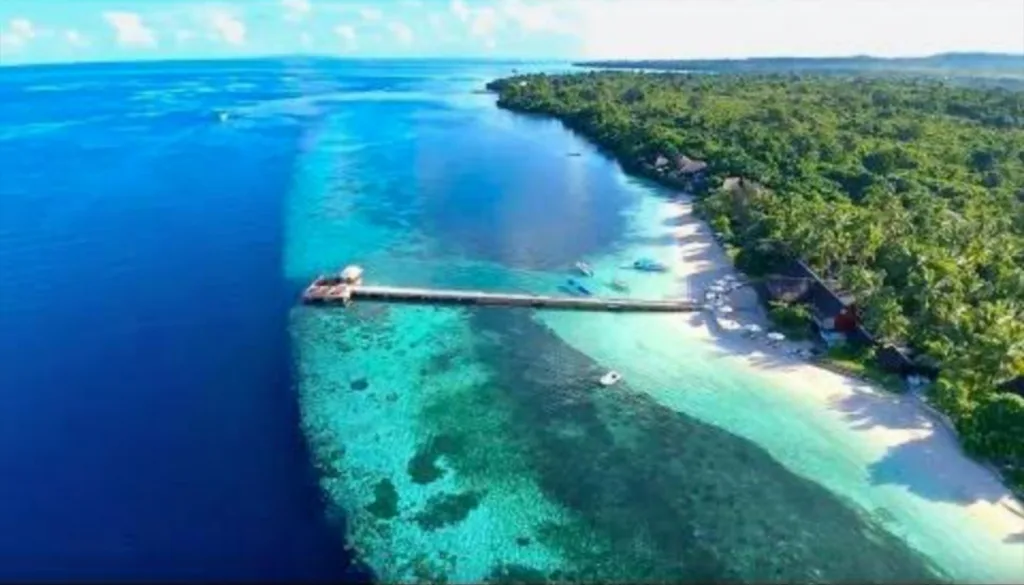 Wakatobi: Benteng Terakhir Biodiversitas Laut Sultra di Tengah Ekspansi Tambang Nikel - MediaSultra.com