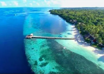 Wakatobi: Benteng Terakhir Biodiversitas Laut Sultra di Tengah Ekspansi Tambang Nikel