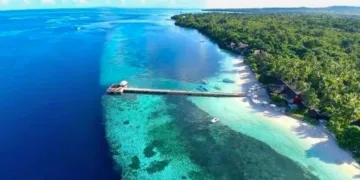 Wakatobi: Benteng Terakhir Biodiversitas Laut Sultra di Tengah Ekspansi Tambang Nikel