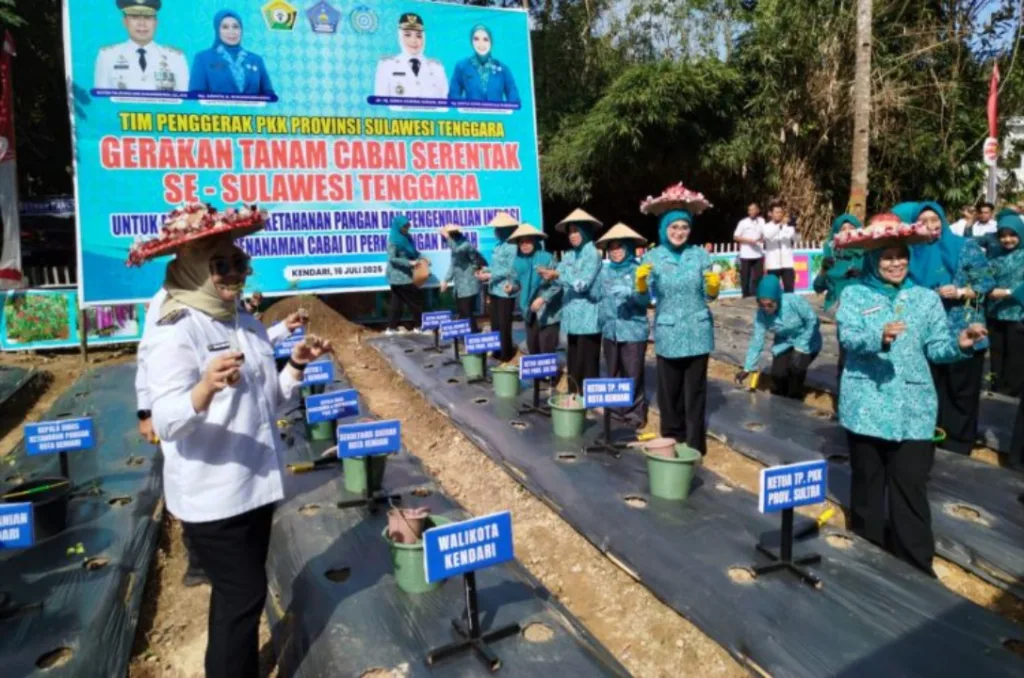 Ramai-Ramai Tanam Cabe, Apa Urgensinya? - MediaSultra.com