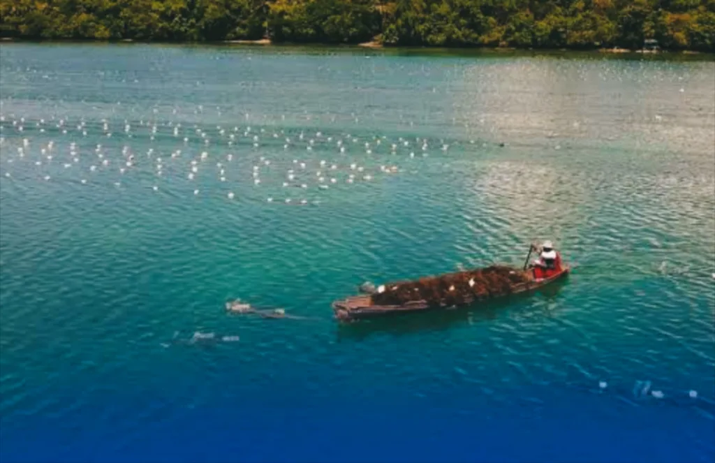 Sulawesi Tenggara Berpeluang Jadi Pusat Blue Food Indonesia - MediaSultra.com