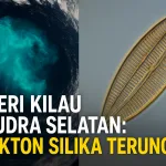 Misteri Kilau Samudra Selatan Terpecahkan: Bukan dari Alga Hangat, tapi Plankton Silika